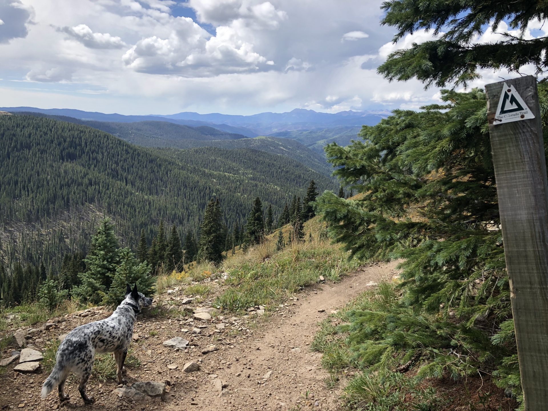 Colorado trail thru outlet hike 2019