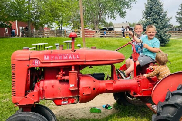 Farm-at-Lee-Martinez-Park-Curated-Tour