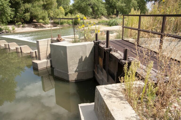 Gabriele Woolever Ditch BHEaton 5935 2 768x512