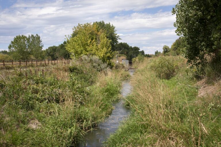 Gabriele Woolever Ditch BHEaton 5945 1 768x512