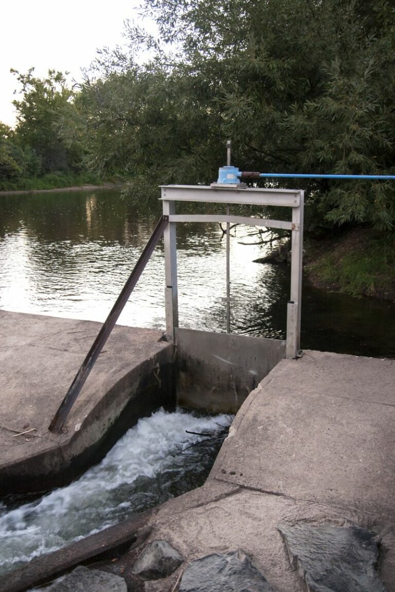 Gabriele Woolever Ditch Coy 7104 1 768x1152