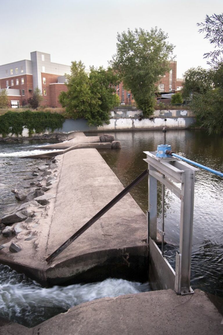 Gabriele Woolever Ditch Coy 7125 2 768x1152