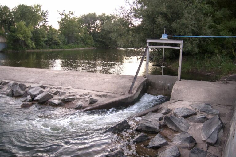 Gabriele Woolever Ditch Coy 7136 1 768x512