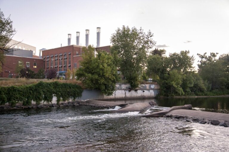 Gabriele Woolever Ditch Coy 7147 3 1 768x512