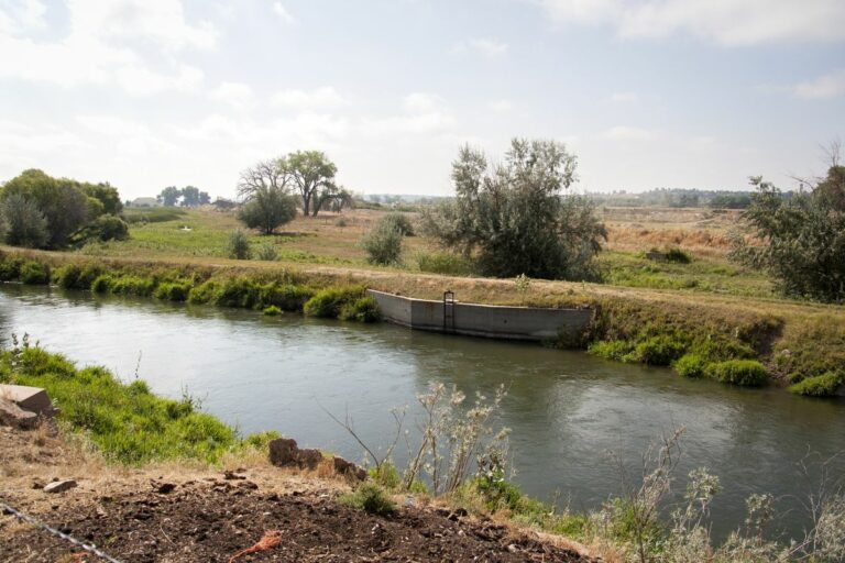 Gabriele Woolever Ditch Greeley2 3969 1 768x512