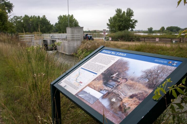 Gabriele Woolever Ditch Greeley3 4619 1 1 768x512