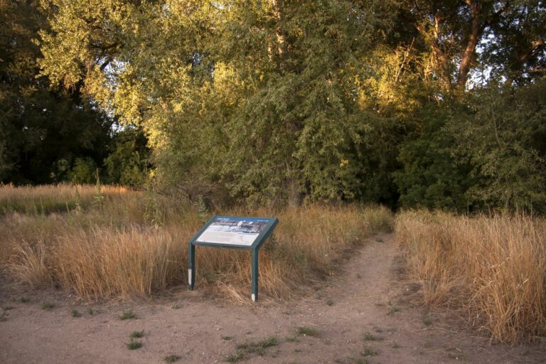 Gabriele Woolever Ditch LakeCanal 6906 1 768x512