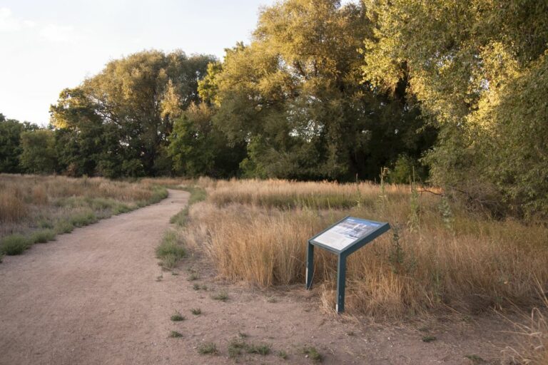 Gabriele Woolever Ditch LakeCanal 6909 1 768x512