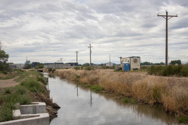 Gabriele Woolever Ditch Ogilvy 4656 1 768x512