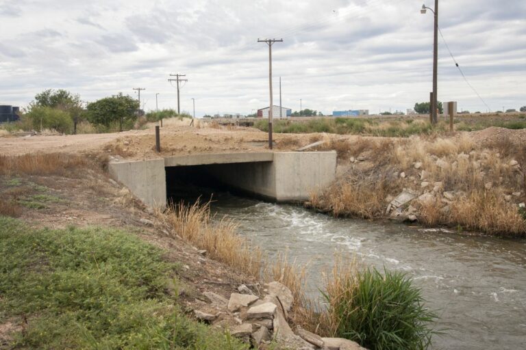 Gabriele Woolever Ditch Ogilvy 4673 1 768x512