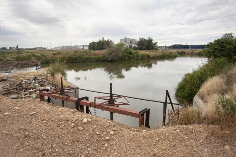 Gabriele Woolever Ditch Ogilvy 4681 1 768x512