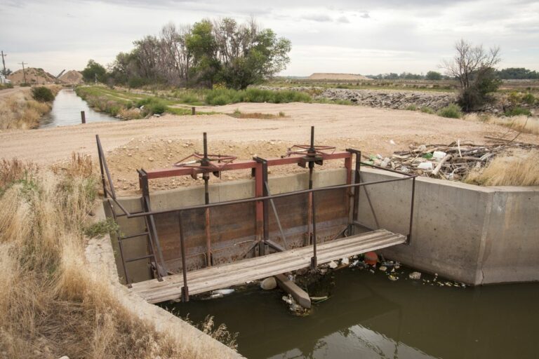 Gabriele Woolever Ditch Ogilvy 4689 1 768x512