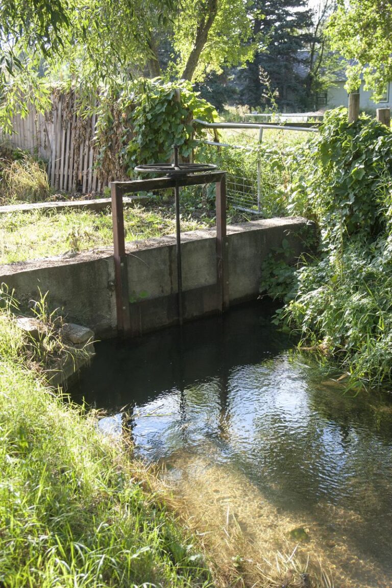 Gabriele Woolever Ditch TaylorGill 5234 2 768x1152