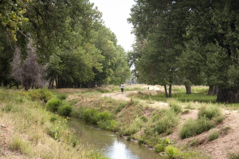 Gabriele Woolever Ditch WRJones 5627 1 768x512