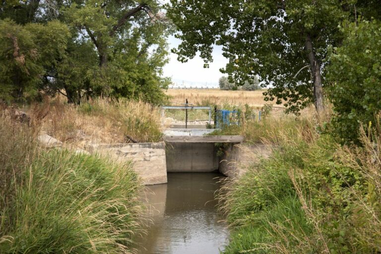 Gabriele Woolever Ditch WRJones 5636 1 768x512