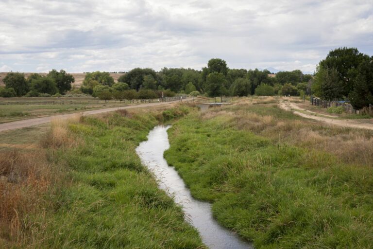 Gabriele Woolever Ditch Whitney 5904 1 768x512