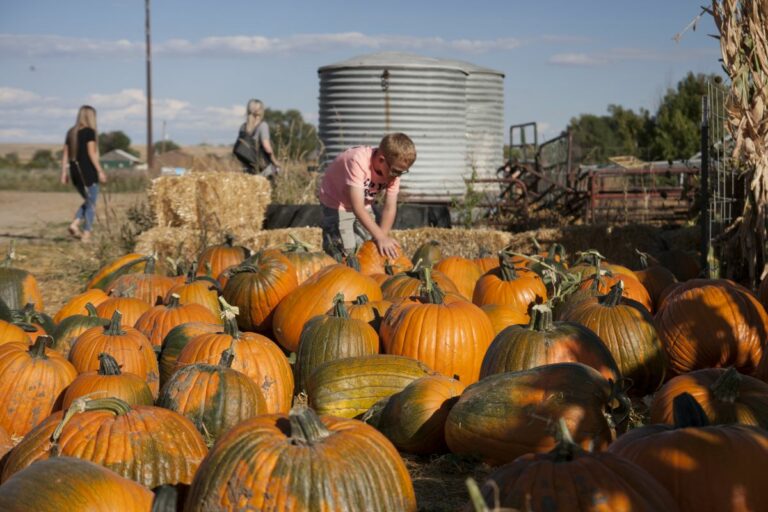 Gabriele Woolever Farm Bartels 8331 1 768x512