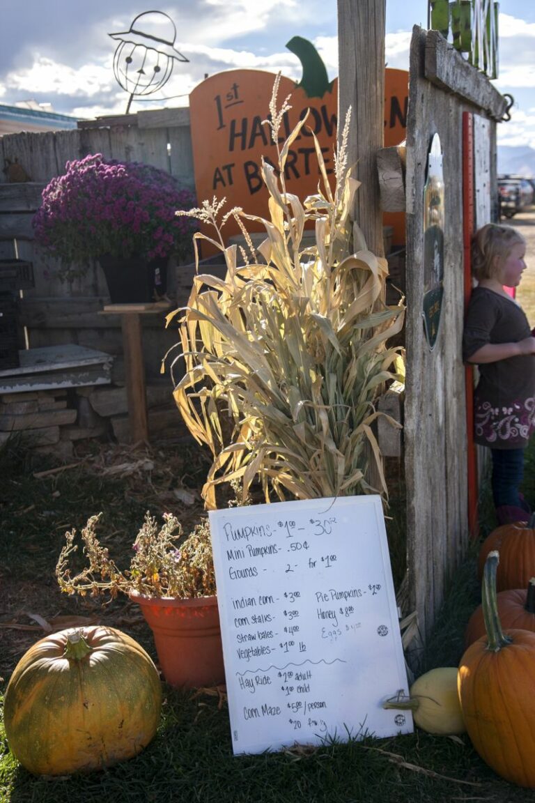 Gabriele Woolever Farm Bartels 8335 1 768x1152