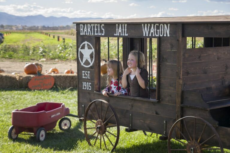 Gabriele Woolever Farm Bartels 8351 1 1 768x512