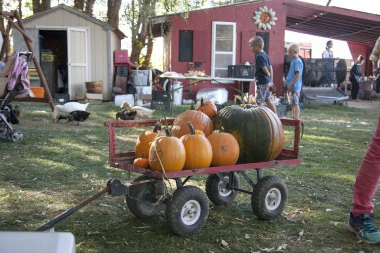 Gabriele Woolever Farm Bartels 8388 1 768x512