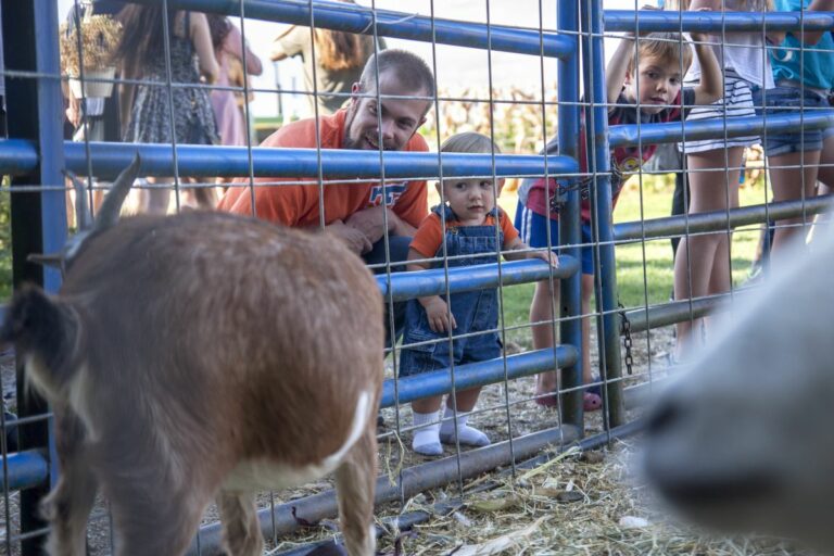 Gabriele Woolever Farm Bartels 8405 1 768x512