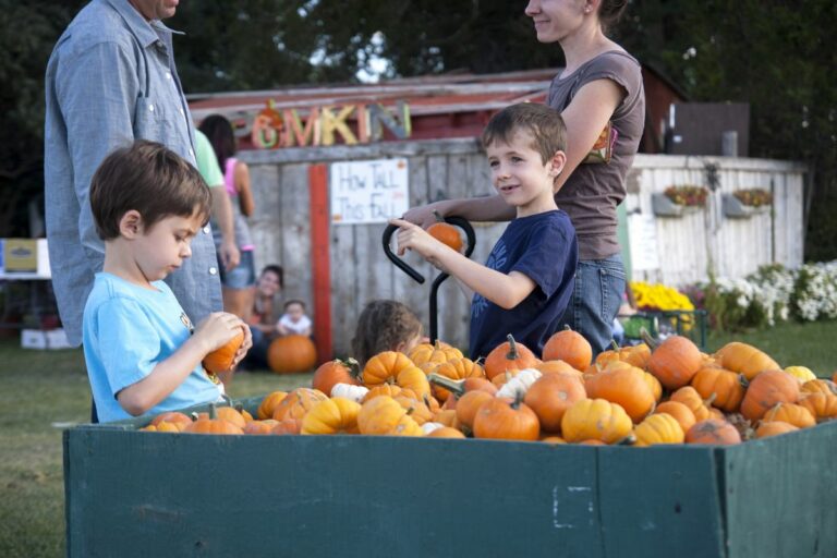 Gabriele Woolever Farm Bartels 8451 1 768x512