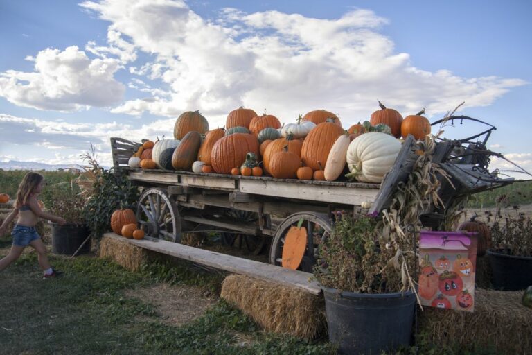 Gabriele Woolever Farm Bartels 8458 1 768x512