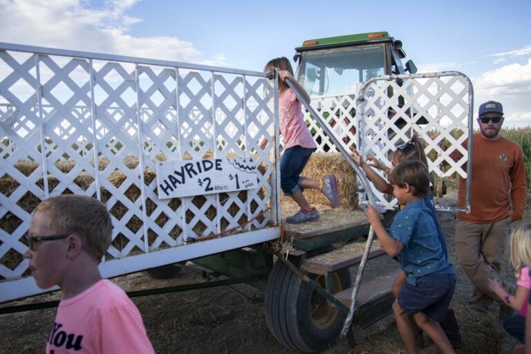 Gabriele Woolever Farm Bartels 8487 1 768x512