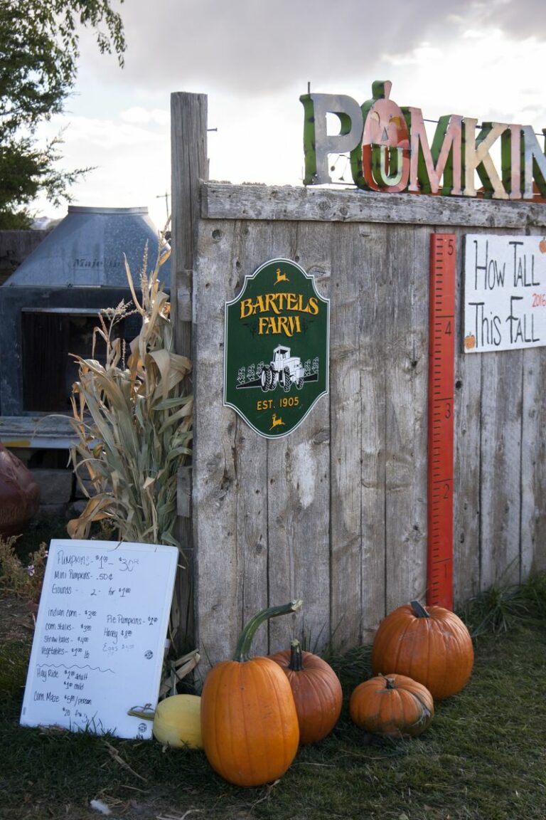 Gabriele Woolever Farm Bartels 8511 1 768x1152
