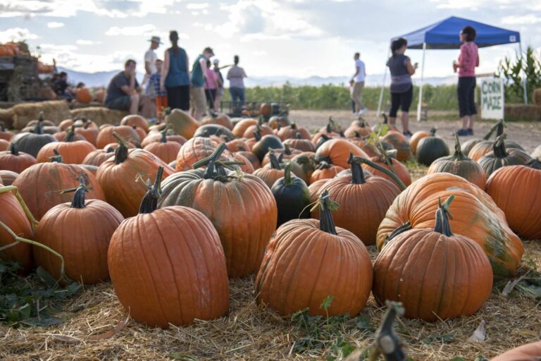 Gabriele Woolever Farm Bartels 8542 1 768x512