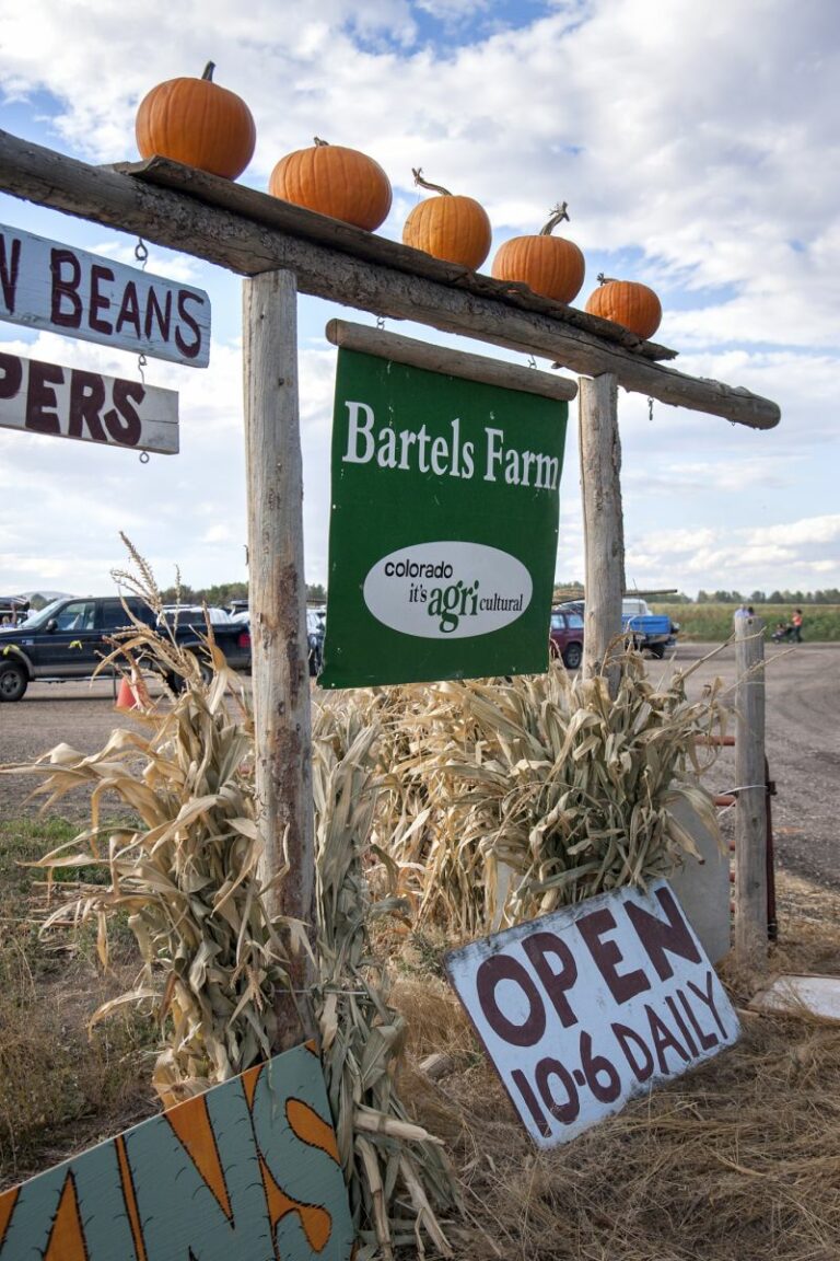 Gabriele Woolever Farm Bartels 8554 1 768x1152