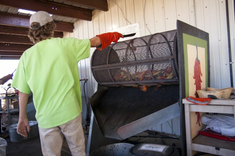 Gabriele Woolever Farm Tigges 8046 1 768x512