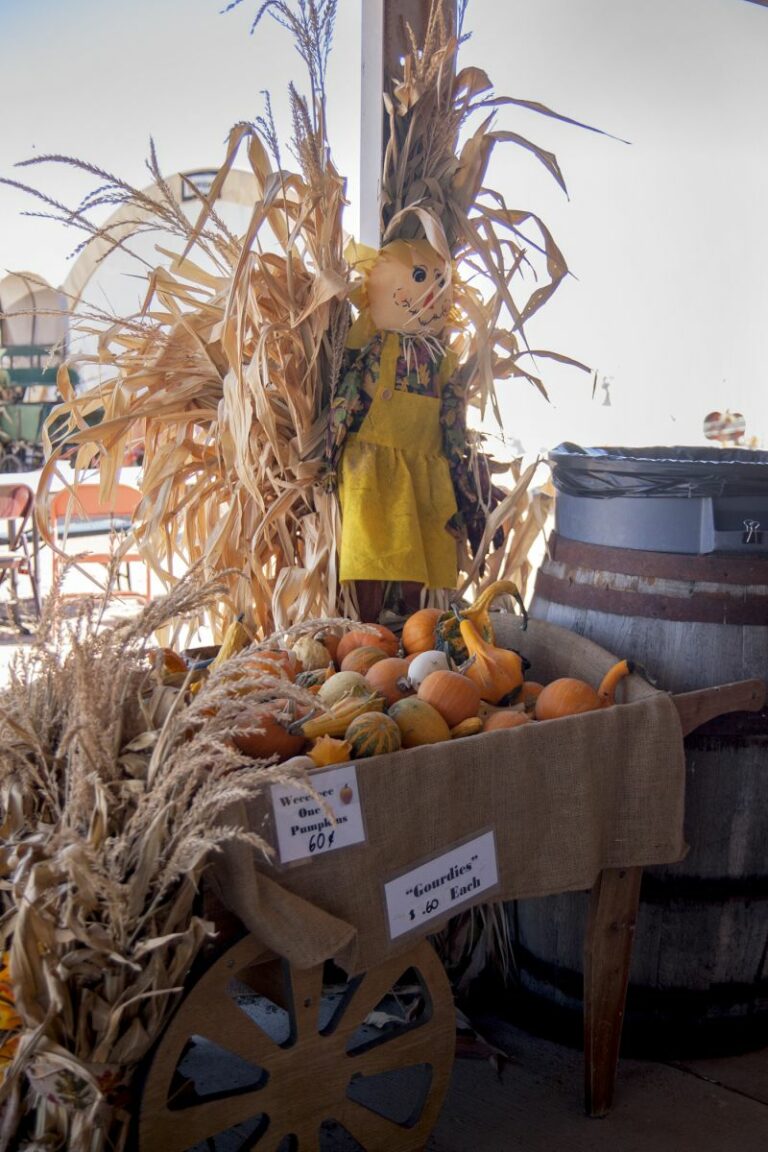 Gabriele Woolever Farm Tigges 8057 1 768x1152