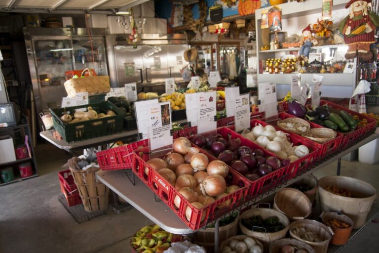 Gabriele Woolever Farm Tigges 8060 1 768x512