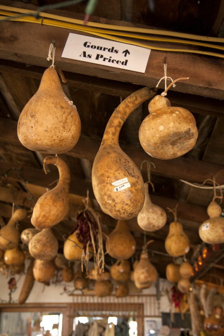 Gabriele Woolever Farm Tigges 8065 1 768x1152