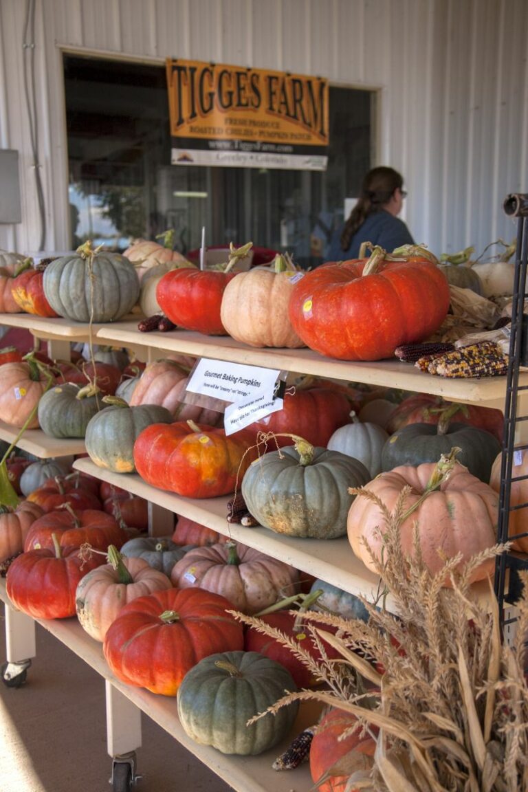 Gabriele Woolever Farm Tigges 8075 1 768x1152