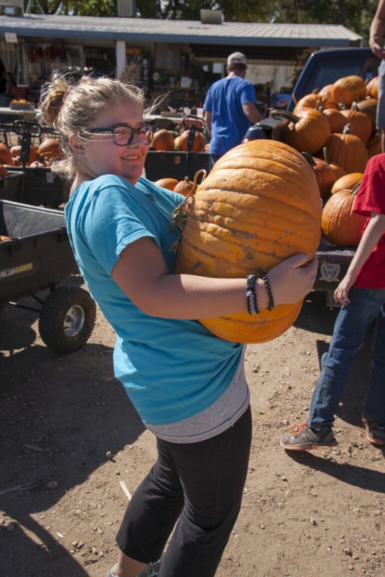 Gabriele Woolever Farm Tigges 8088 1 768x1152