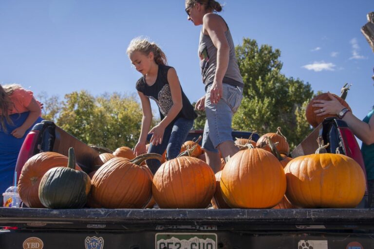 Gabriele Woolever Farm Tigges 8092 1 768x512