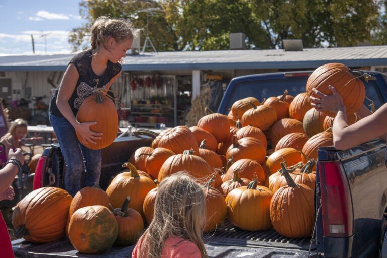 Gabriele Woolever Farm Tigges 8101 1 768x512