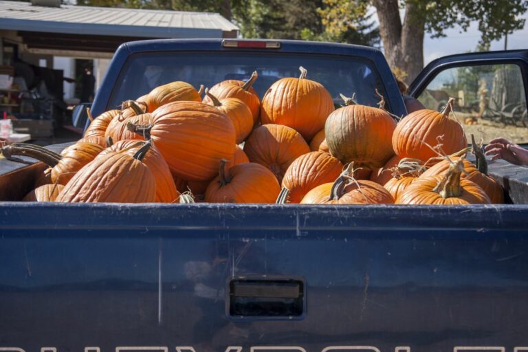 Gabriele Woolever Farm Tigges 8109 1 768x512