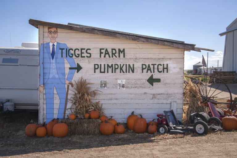 Gabriele Woolever Farm Tigges 8140 1 768x512