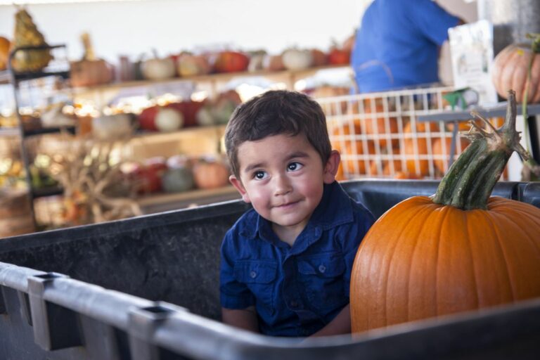 Gabriele Woolever Farm Tigges 8164 1 768x512