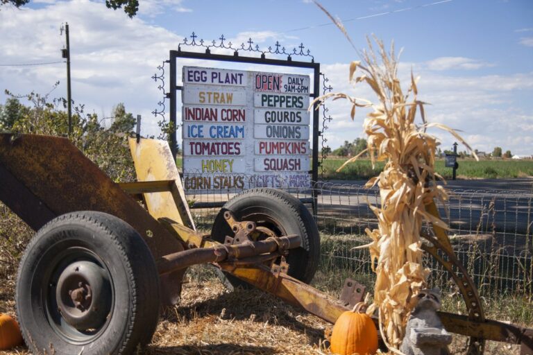 Gabriele Woolever Farm Tigges 8187 1 768x512