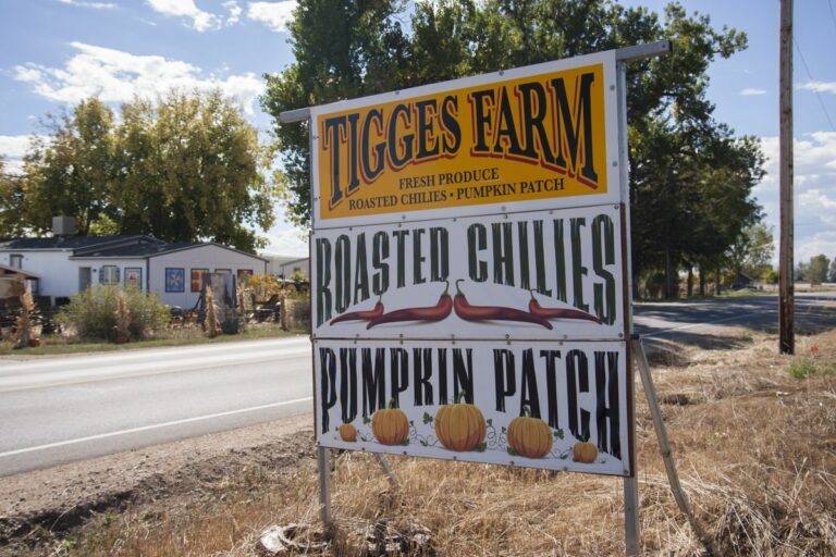 Gabriele Woolever Farm Tigges 8202 1 768x512