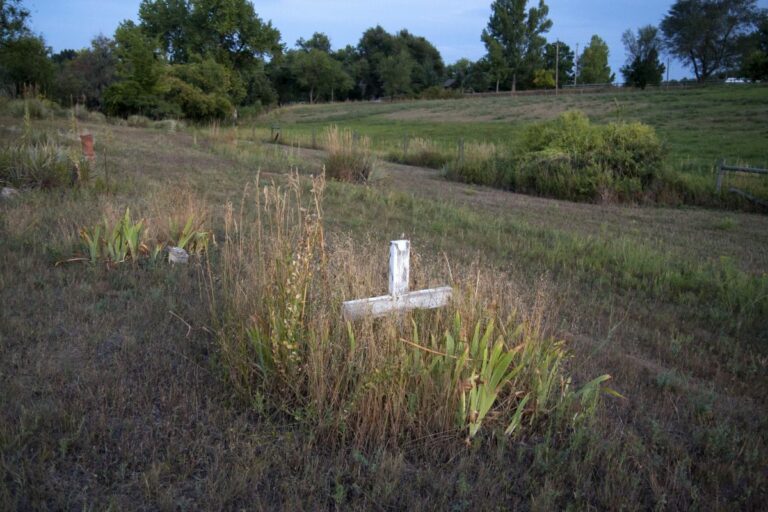 Gabriele Woolever Hist BinghamCem 4385 1 768x512