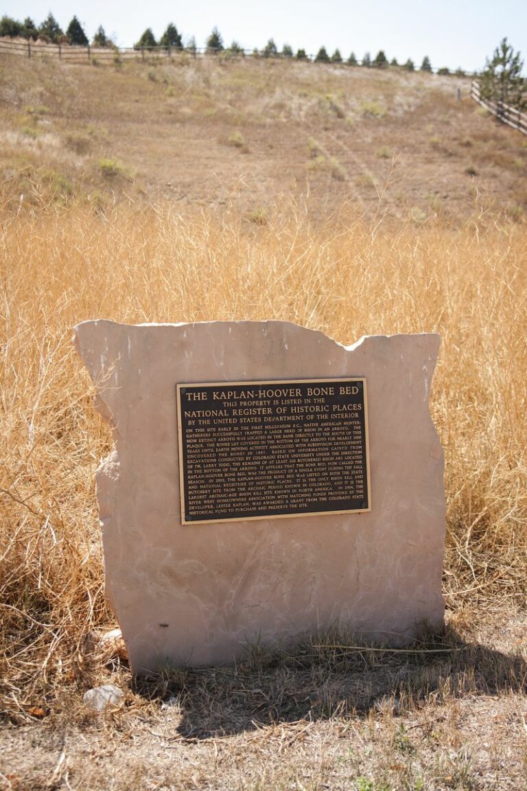 Gabriele Woolever Hist KaplanHoover 4131 1 768x1152