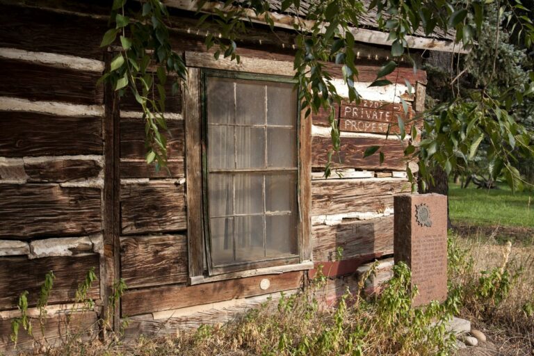 Gabriele Woolever Hist SamDeon 4186 1 768x512