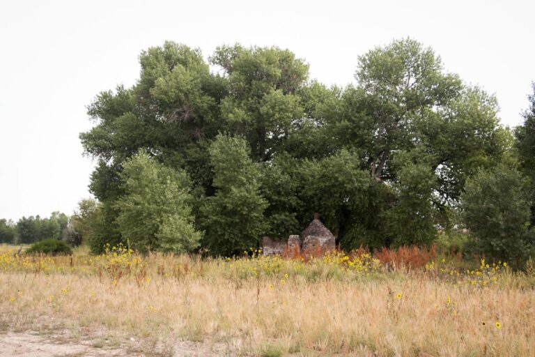 Gabriele Woolever Hist StraussCabin 3933 1 768x512