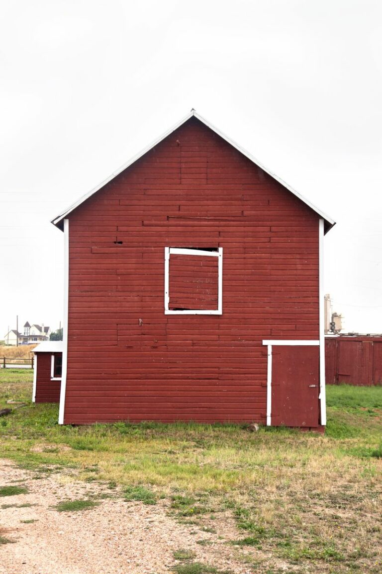 Gabriele Woolever Hist VonTrotha 4458 1 768x1152