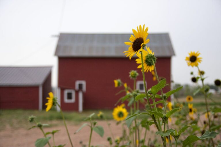 Gabriele Woolever Hist VonTrotha 4513 1 768x512